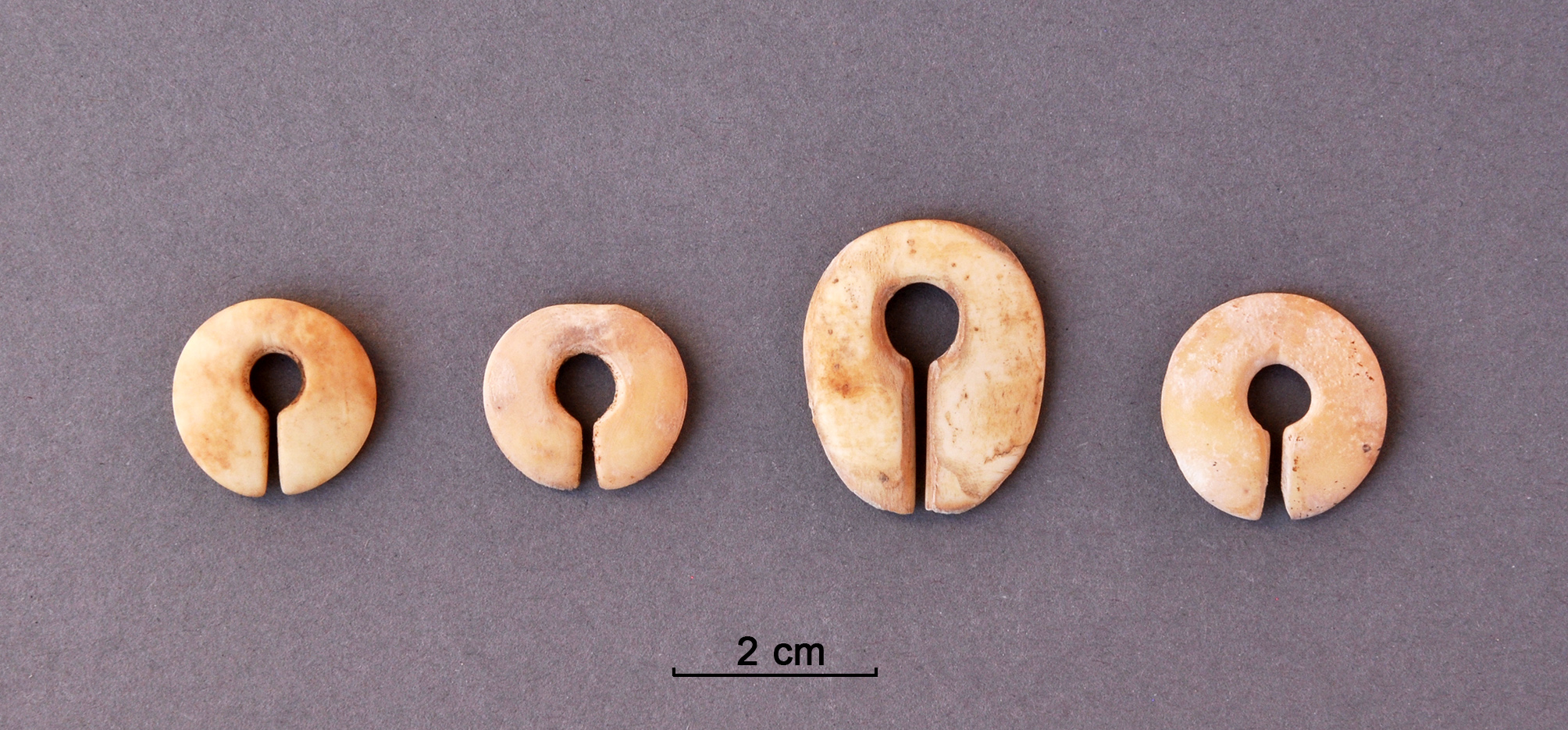 Shell earrings from male graves (Kerma ancien II, Sector 23). Their diameter is between 2 and 3 cm.
