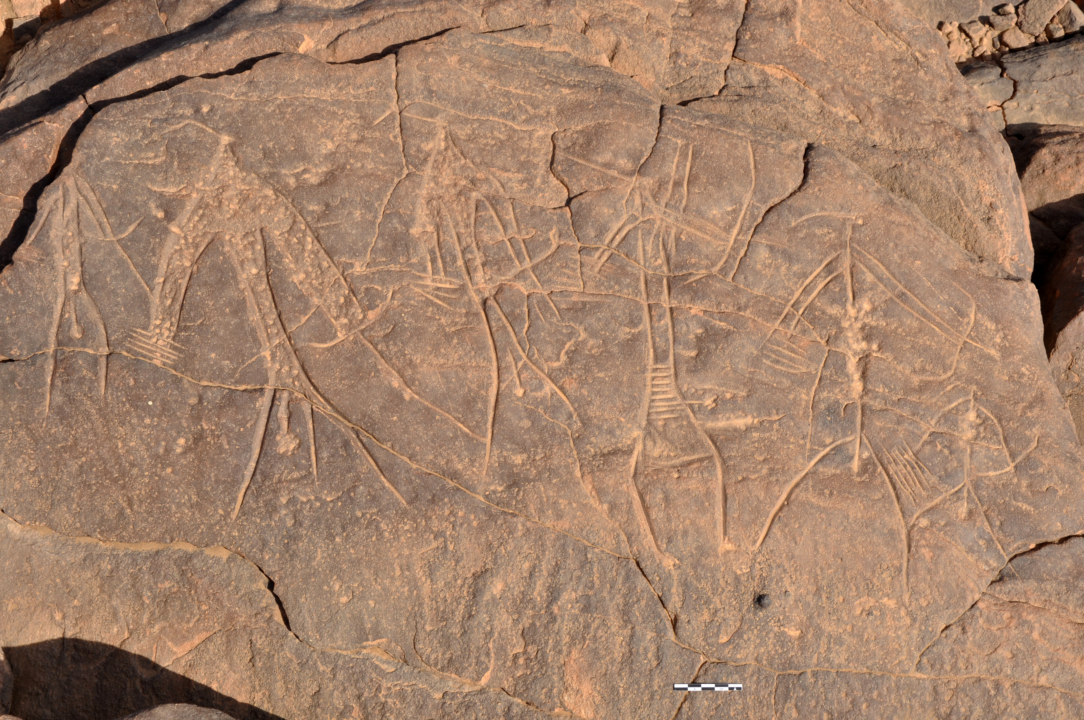 Scene representing archers on a rock engraving at the 3rd cataract (Wadi Es-Sabu, 3rd or 2nd millennium BC, height of archers about 15 cm). One of them wears a loin-cloth and all have a head dress made of an ostrich feather, a typical Nubian adornment frequently used by the Egyptians when representing their southern neighbours.