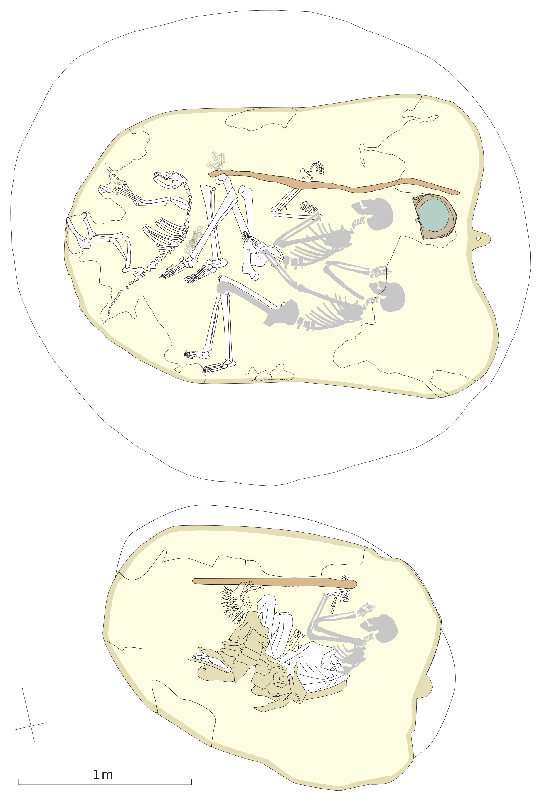 Graves of an archer and of a woman with a stick of the Kerma ancien II Phase (2300-2100 BC), found in Sector 23 of the Easter Cemetery of Kerma. The grave of the archer contained two individuals: a young man in the central position and a woman placed by his side. A dog, a bow, an ostrich feathers fan, and a bronze mirror accompanied the young man. The grave with a wooden stick contained a woman aged 20-29 years. Both graves were partially plundered and a part of the skeletons is here reconstructed.