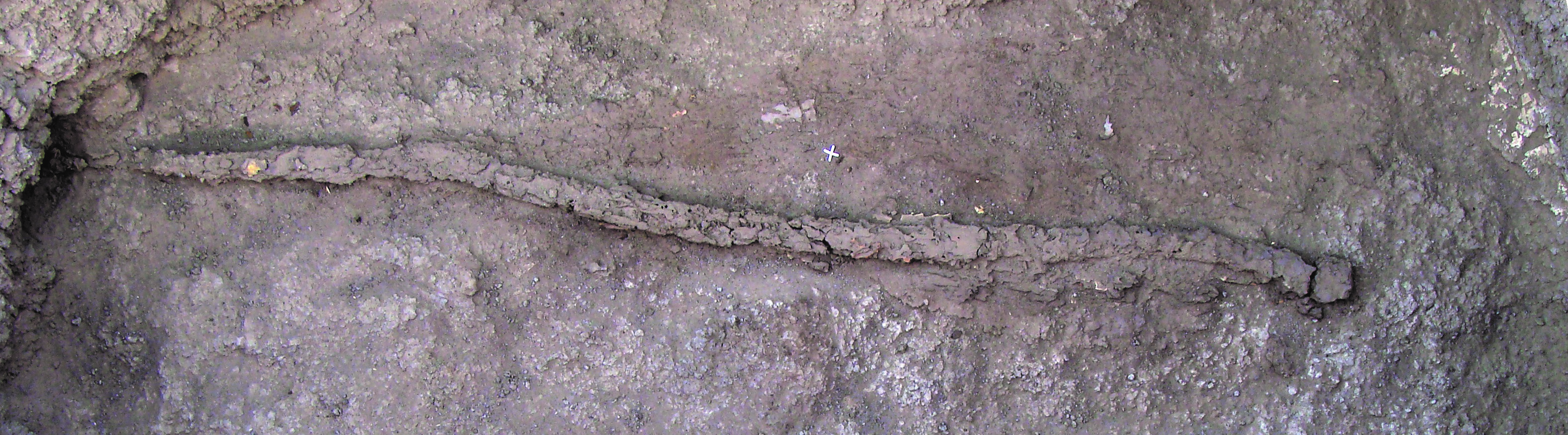 Detail of a double bend bow whose length is over 1,5 m (Kerma ancien II, Sector 23).