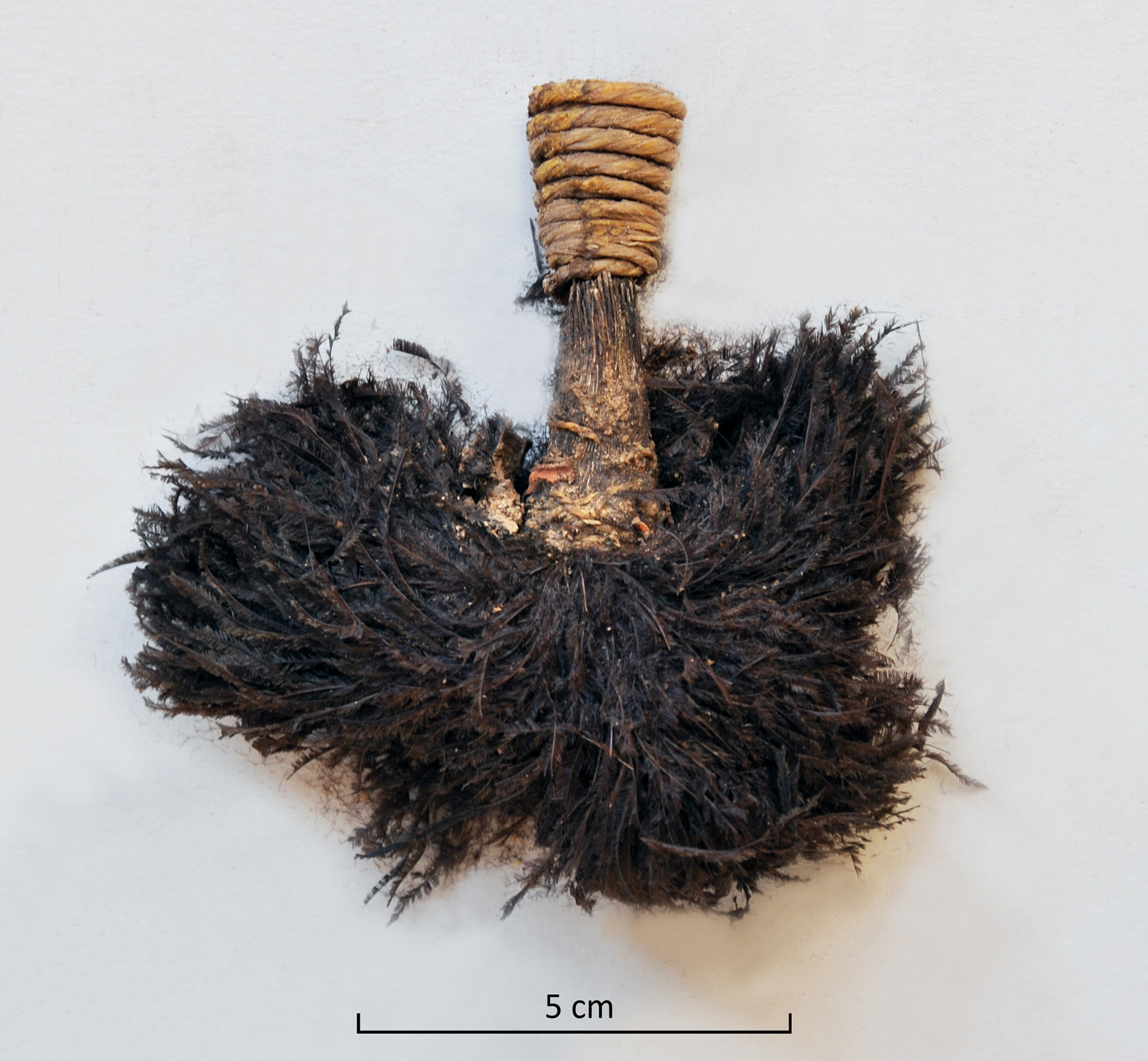 Plume of ostrich feathers with a string, which was rolled up at the extremity of the bow (Kerma ancien II, Sector 23).